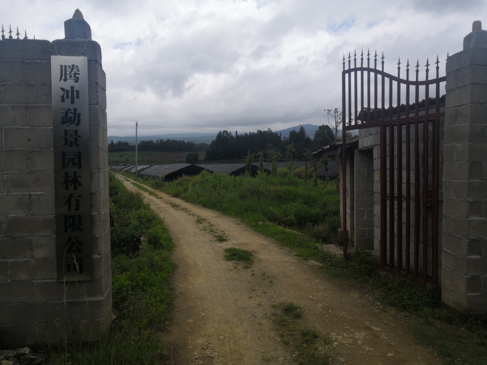 云南省保山市腾冲市中和镇大村社区