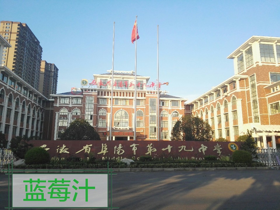 阜阳市第十九中学