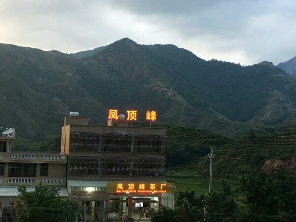 凤顶峰茶厂