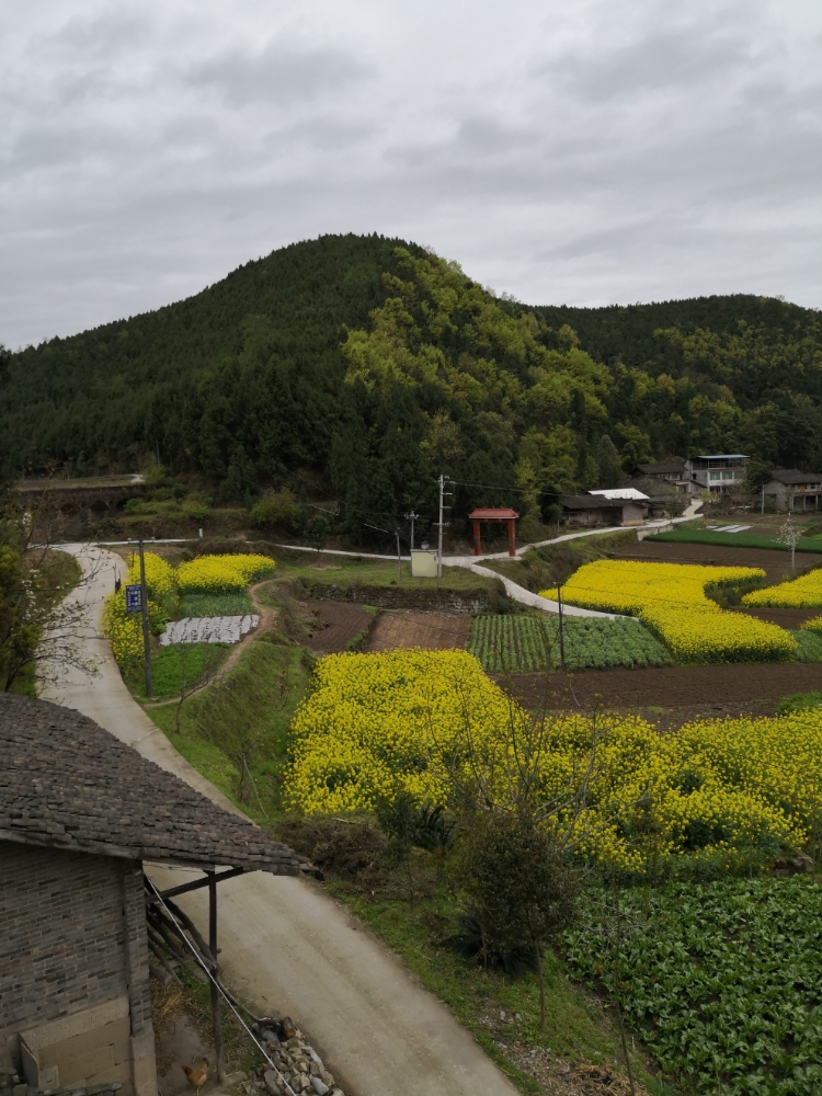 覃家湾村