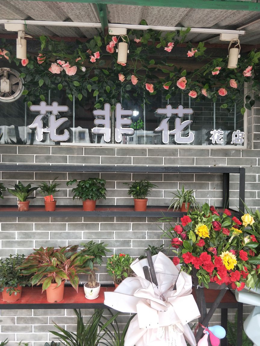 珠海斗门区井岸镇花非花花店(裕凯长江筛网有限公司店)