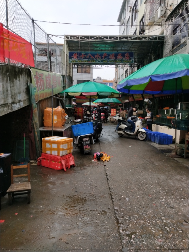 黄十八水产冻品店