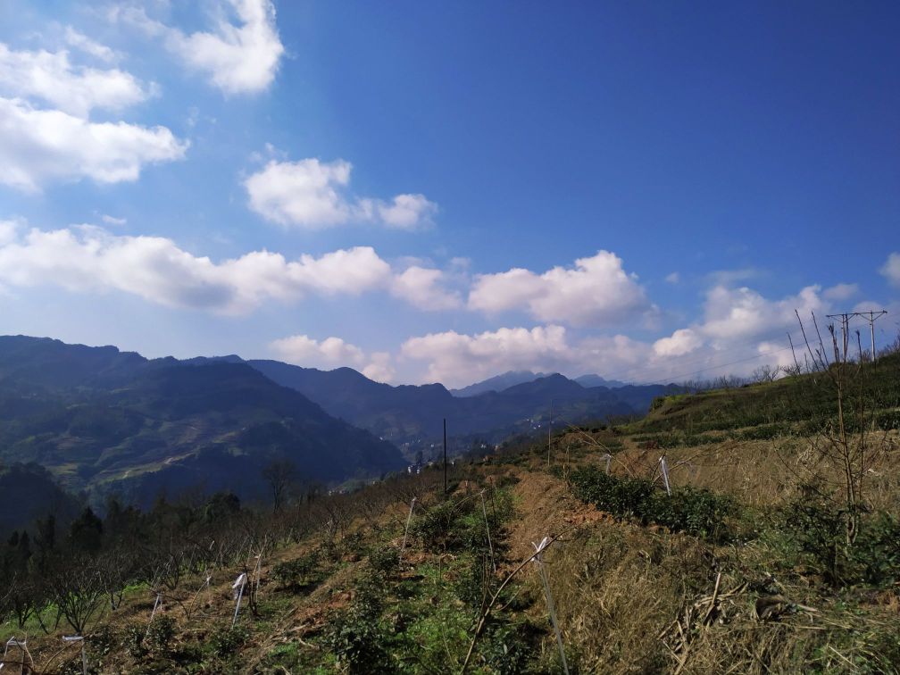 宜宾市屏山县