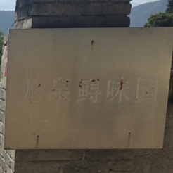 龙泉浔味园