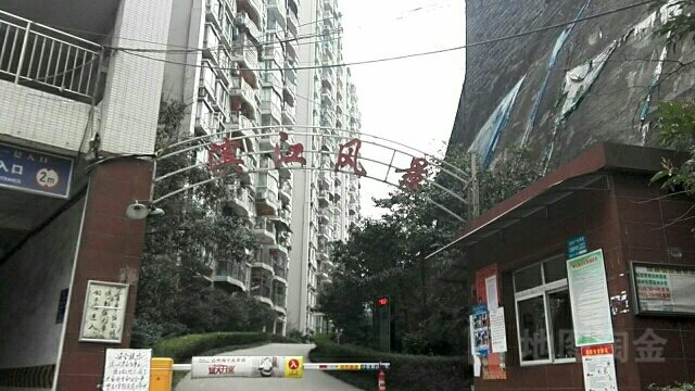 滨江风景