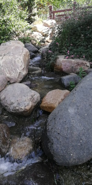 三门峡黄河公园芦荡烟雨湖景区