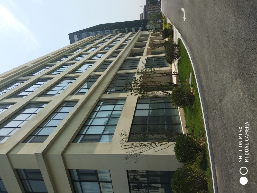 智雏鸟乒乓球俱乐部