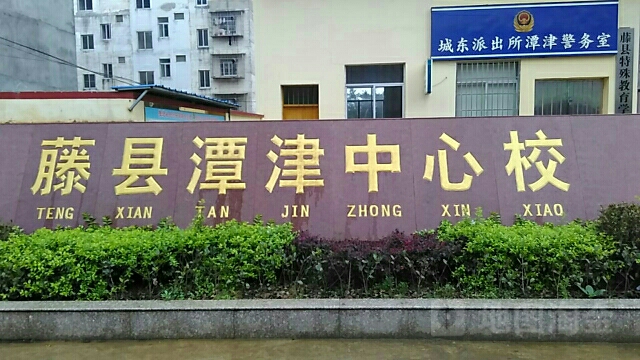 藤县谭津中心校
