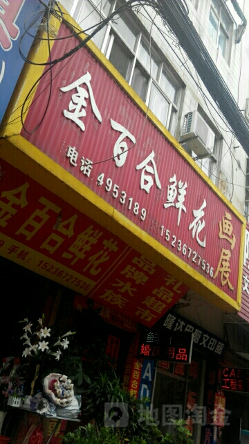 固始县金百合鲜花(迎宾路店)