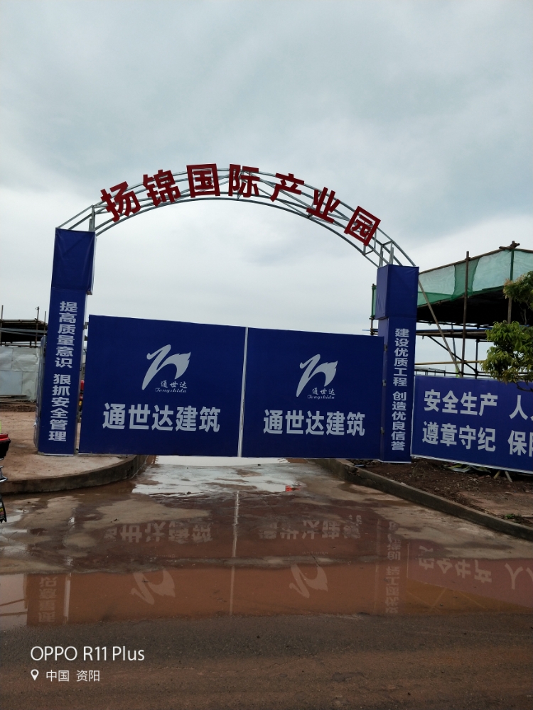 扬景国际