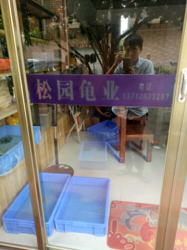 松园龟业