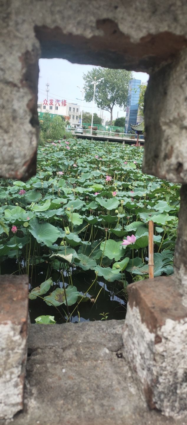 吉安市泰和县