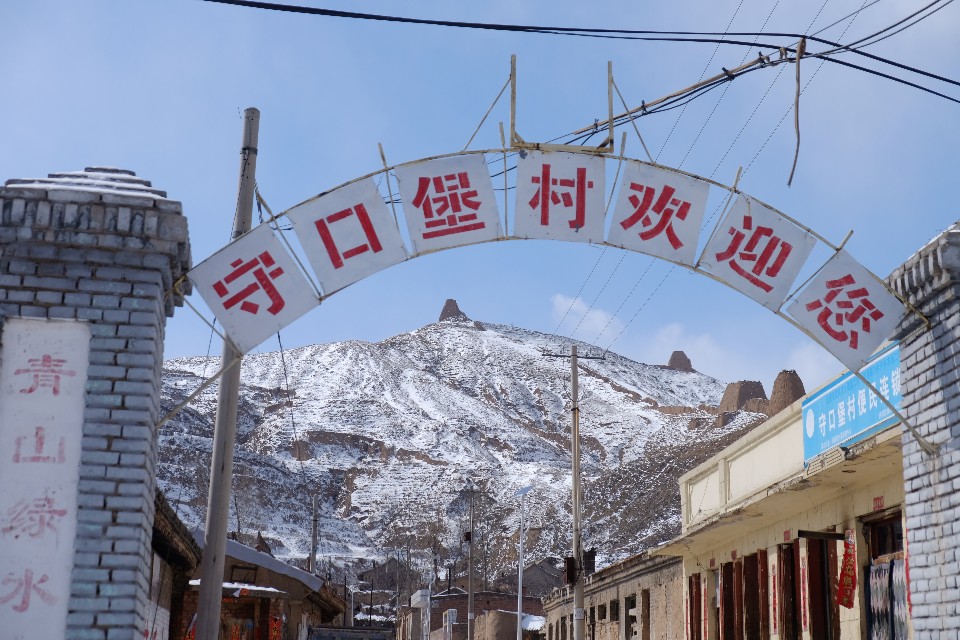 大同市阳高县