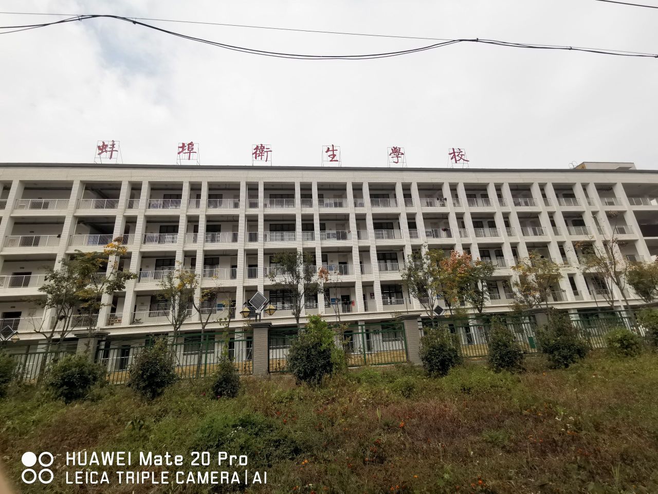 蚌埠卫生学校
