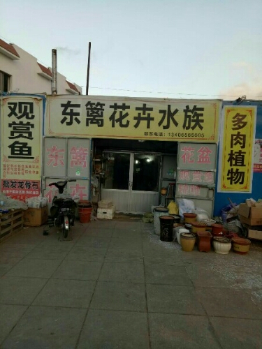 东篱花卉水族(一店)