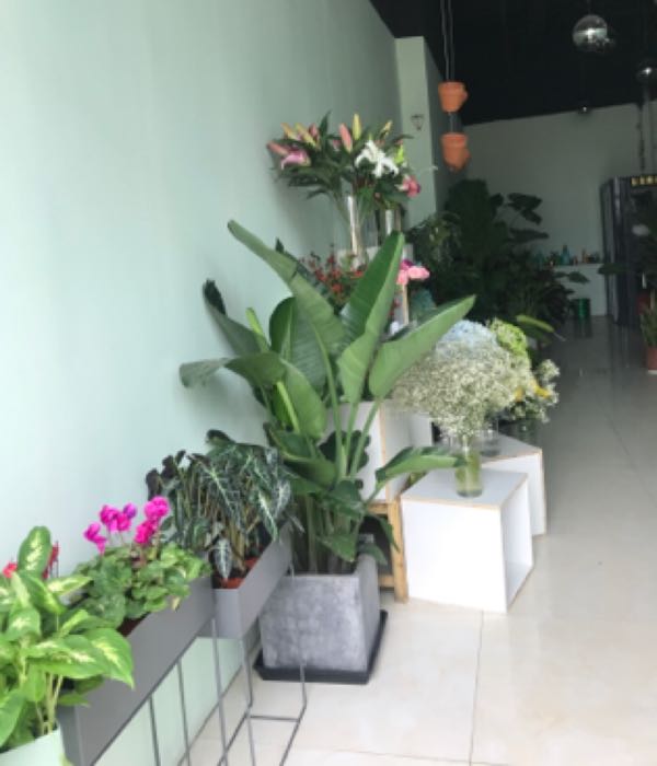 醉花间花店