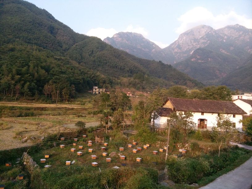 江西省萍乡市芦溪县武功山麻田办事处东江村