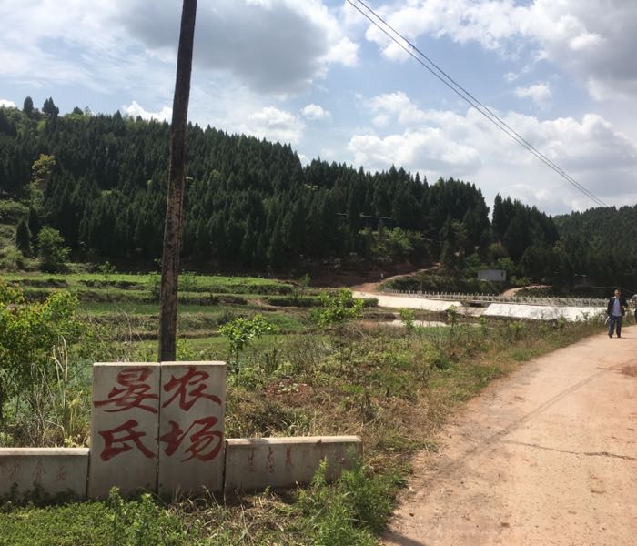 四川省南充市西充县七宝寺镇文滩桥村