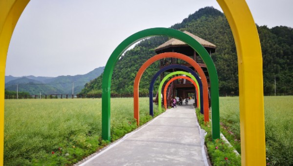 分水镇大路村s302省道南侧