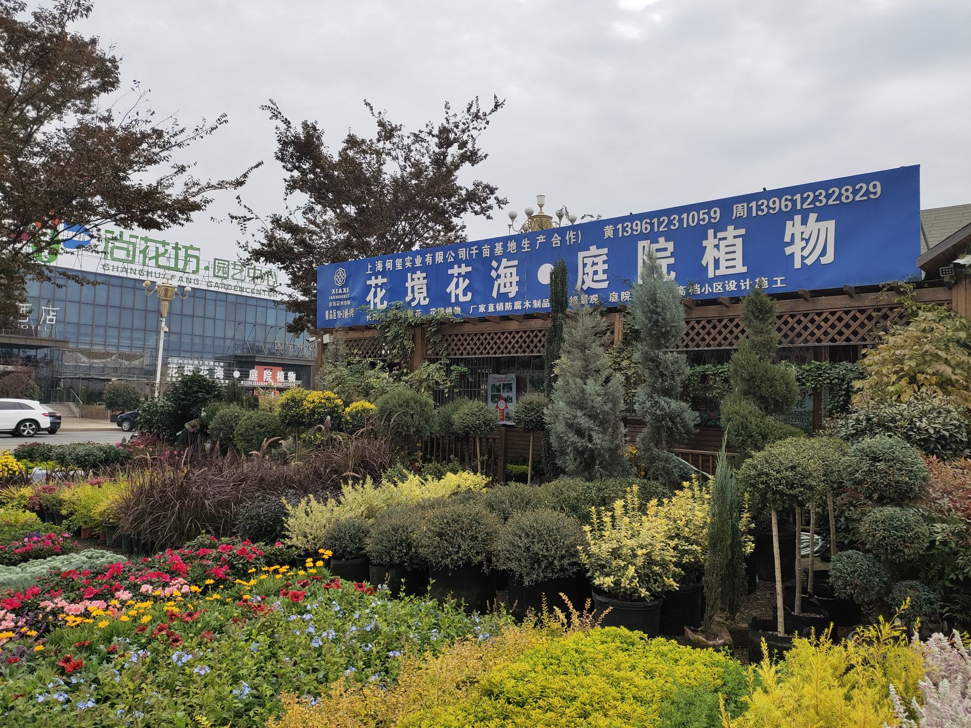 武进区标签: 植物园 旅游景点  三十六计宫共多少人浏览:3666618