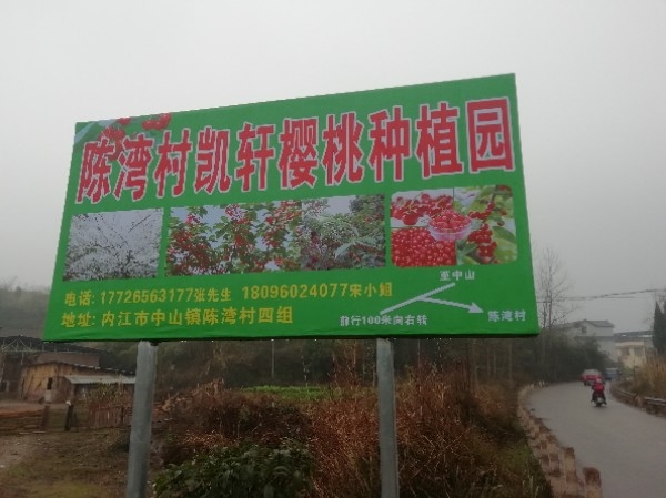 凯轩樱桃种植园