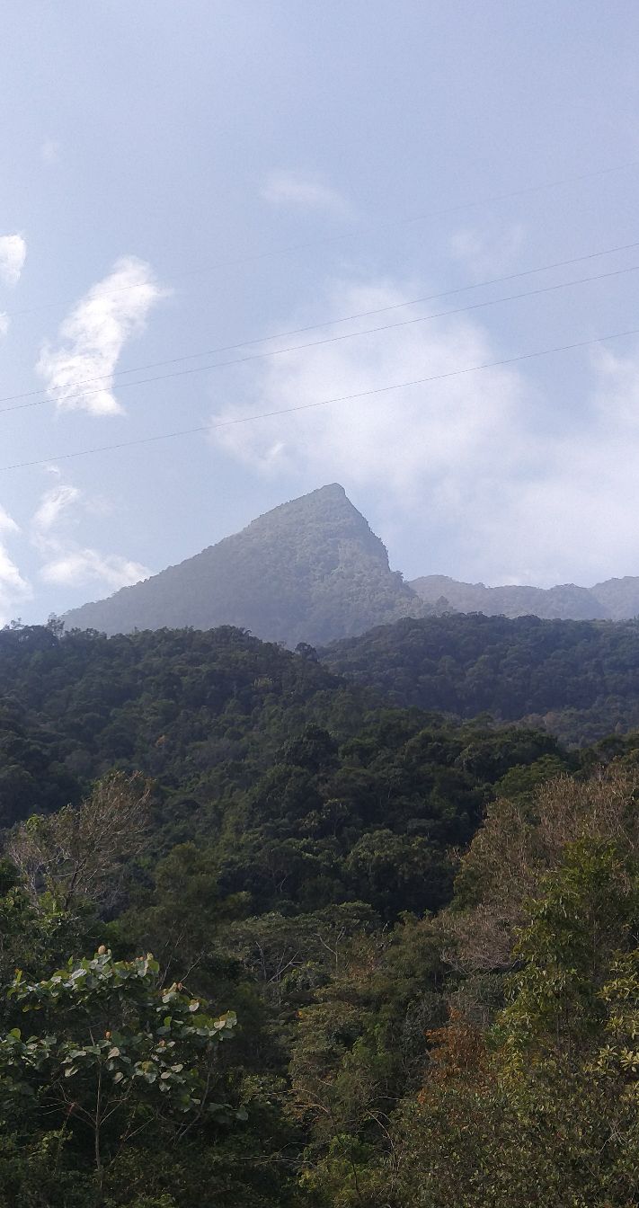 鹦哥岭国家级自然保护区