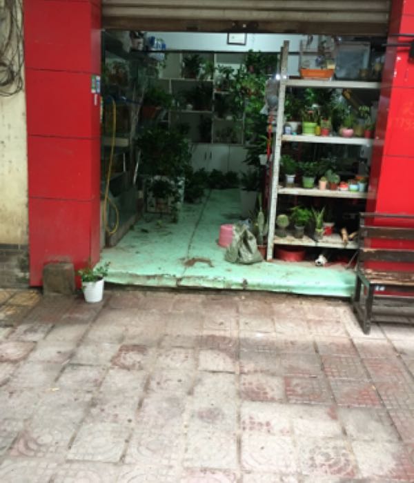 无名花店