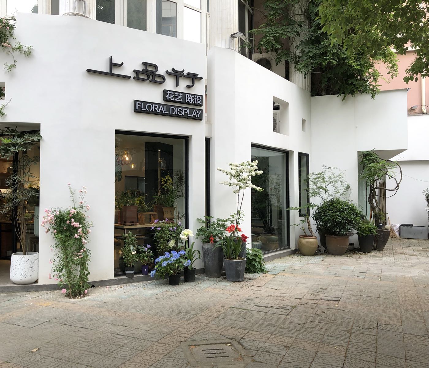 上品行花艺(开元街店)