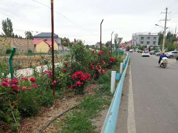 伊犁哈萨克自治州伊宁市
