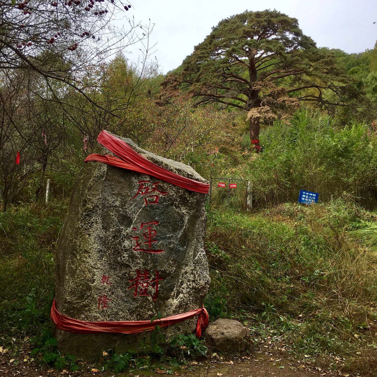 神树沟风景区