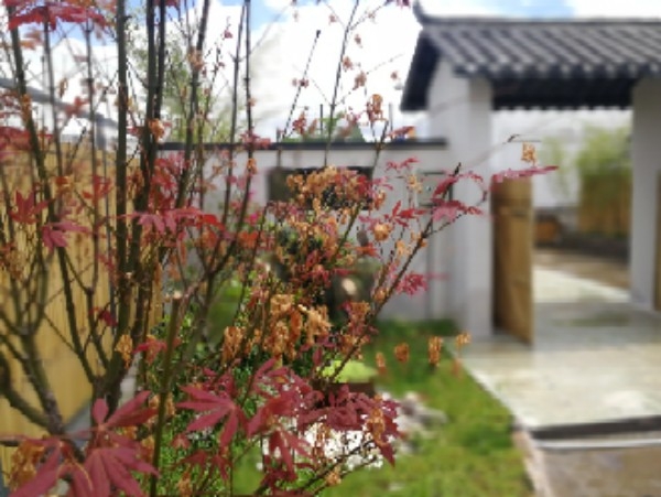 深圳市盛意天台花园