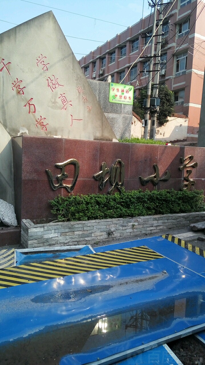 田坝小学