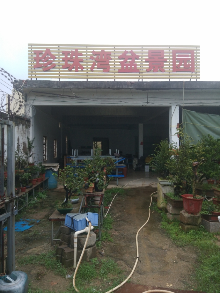 珍珠湾盆景园