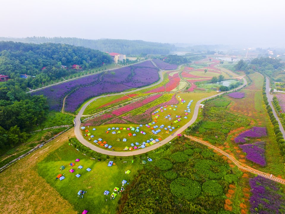 湖北省宜昌市枝江市安福寺镇秦家塝村