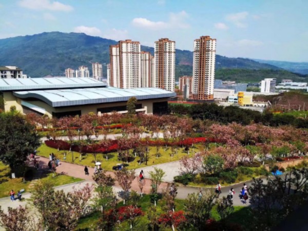 重庆外语外事学院(綦江校区)
