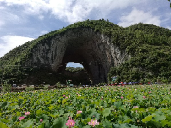 毕节市大方县羊场镇陇公村