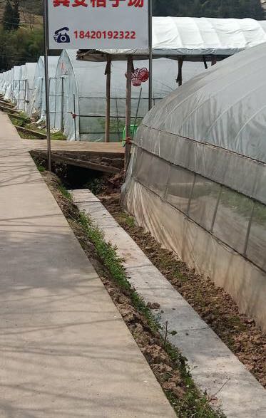 广东省茂名市信宜市白石镇吉度村