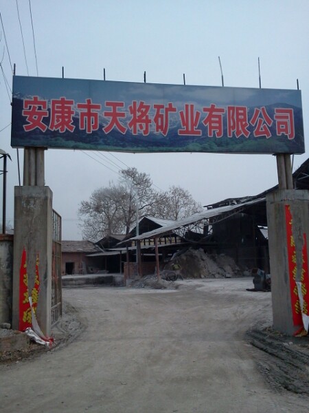 安康市天将矿业有限公司