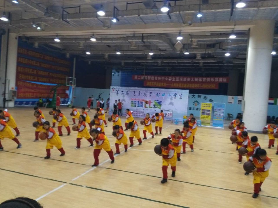 大树篮球培训