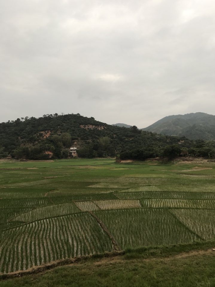 茂名市高州市