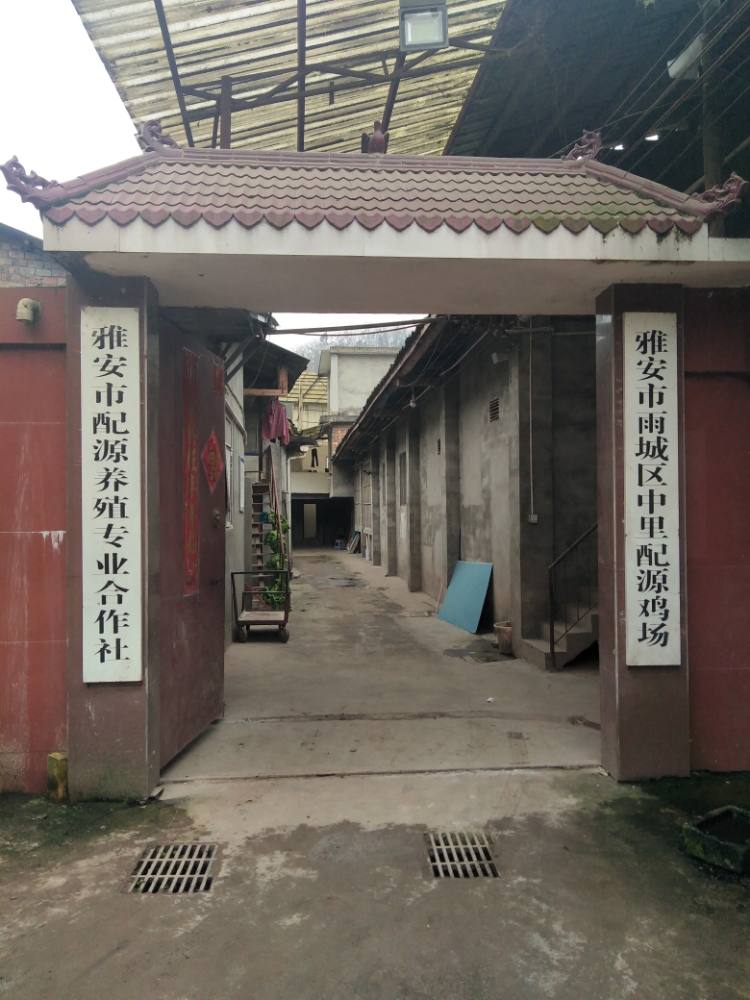 四川省雅安市雨城区上里镇中里村二组庙沟