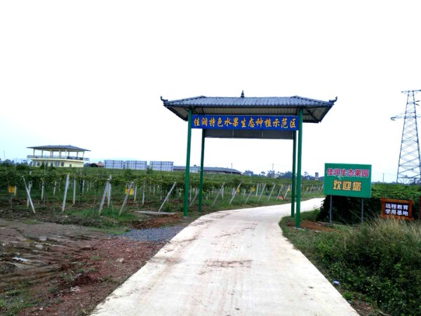 万福佳润生态果园