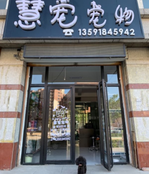 慧宠宠物店