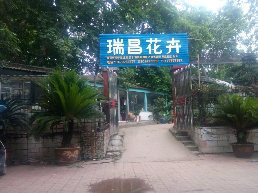 瑞昌花卉
