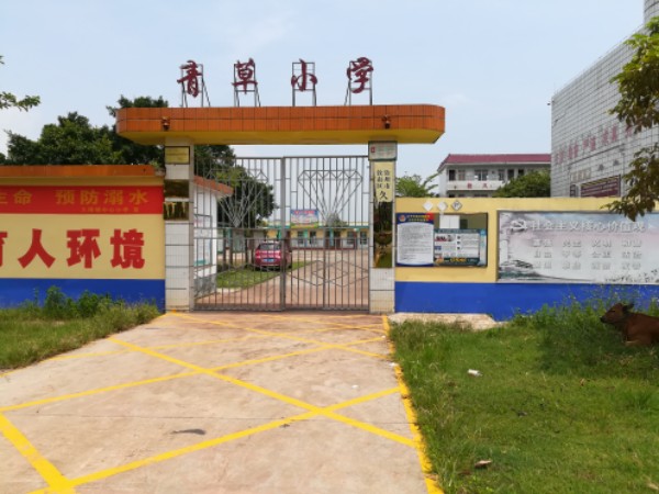 青草小学