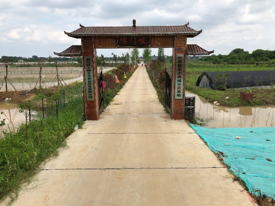 湖北省武汉市黄陂区前川街高庙村儒门咀168号