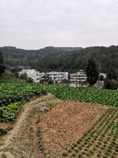 绵阳市盐亭县店盐路