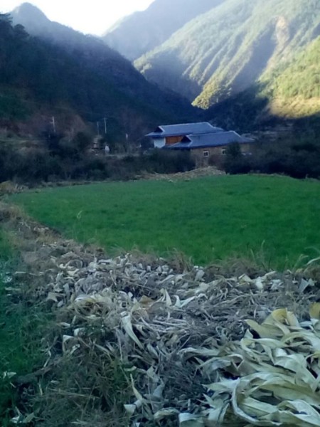 凉山彝族自治州木里藏族自治县