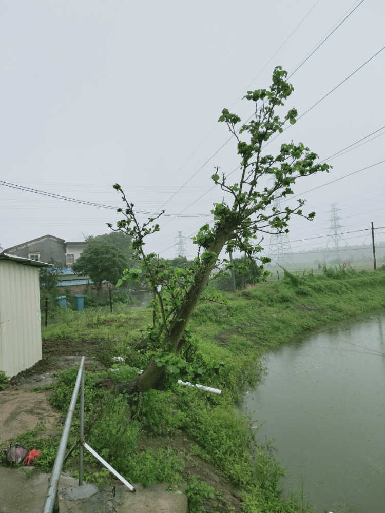 广东省江门市台山市