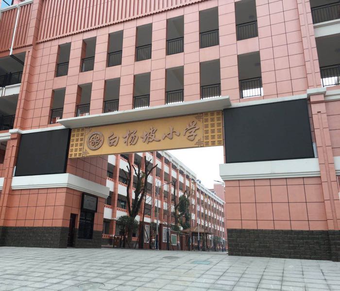 白杨坡学校